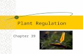 Plant Regulation Chapter 39. Plant growth Plants respond to environment Growth response to abiotic factors Water, wind and light.