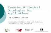 Creating Biological Ontologies for Applications Dr Andrew Gibson Swammerdam Institute for Life Sciences Universiteit van Amsterdam.