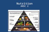 Nutrition ANSC 2. Warm Up Food Labels: Grab a bag of Animal Food from the lab. Please remember where you got this from! Answer the following: – Who is.