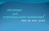 P PROF.DR.ARZU SEVEN. The hypotalamic hormones are released from the hypothalamic nerve fiber endings around the capillaries of the hypothalamic_hypophysial.