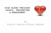 HIGH BLOOD PRESSURE CAUSES, PREVENTION & MANAGEMENT By Eunice Akosua Ofosua Amoako.