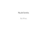 Nutrients By Rhys. carbohydrates Carbohydrates are the bodies main energy source. Foods that have carbohydrates in them are: pasta, potatoes, waffles.