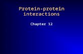 Protein-protein interactions Chapter 12. Stable complex Transient Interaction Transient Signaling Complex Rap1A – cRaf1 Interface 1310 Å 2 Stable complex: