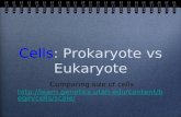 Cells: Prokaryote vs Eukaryote Comparing size of cells  lls/scale