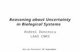 Reasoning about Uncertainty in Biological Systems Andrei Doncescu LAAS CNRS Aix-en-Province 18 September.