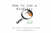 How to run a BioBlitz Lucy Carter, OPAL Project Officer lucy.carter@nhm.ac.uk.
