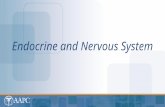 Endocrine and Nervous System. CPT® copyright 2012 American Medical Association. All rights reserved. Fee schedules, relative value units, conversion factors.