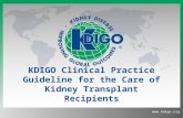 Www.kdigo.org KDIGO Clinical Practice Guideline for the Care of Kidney Transplant Recipients.