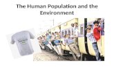 The Human Population and the Environment. Human Population and the environment Population It is defined as a group of individuals of the same species.