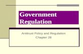 Government Regulation Antitrust Policy and Regulation Chapter 28.