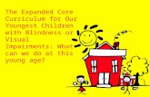 The Expanded Core Curriculum for Our Youngest Children with Blindness or Visual Impairments: What can we do at this young age?