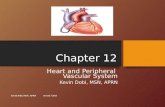 Chapter 12 Heart and Peripheral Vascular System Kevin Dobi, MSN, APRN Kevin Dobi, MSN, APRN revised 7/2013.