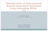 SUPERVISOR: YIHONG JENNIFER TAN ERIC GÄHWILER KARIM HAMIDI VIRGINIE RICCI Identification of Auto-Immune disease associated Intergenic Long noncoding RNAs.