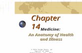 Chapter 14 Medicine: An Anatomy of Health and Illness © Pine Forge Press, an Imprint of SAGE Publications, Inc., 2011.
