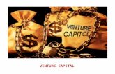VENTURE CAPITAL. VENTURE CAPITAL FUND (VCF) DEFINED A FUND ESTABLISHED IN THE FORM OF A COMPANY OR TRUST WHICH RAISES MONEY THROUGH LOANS, DONATIONS,
