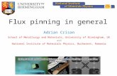 Flux pinning in general Adrian Crisan School of Metallurgy and Materials, University of Birmingham, UK and National Institute of Materials Physics, Bucharest,