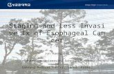 Staging and Less Invasive Tx of Esophageal Cancer Jun Haeng Lee Sungkyunkwan University School of Medicine Samsung Medical Center, Seoul, Korea,