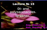 Lecture № 15 Di- and polysaccharides. Terpenes. Ass. Medvid I.I. Ass. Burmas N.I.