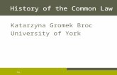 Pag. History of the Common Law Katarzyna Gromek Broc University of York.