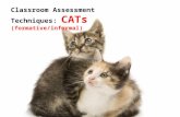 Classroom Assessment Techniques: CATs (formative/informal)