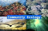 Community Ecology. GeographyResources Phylogeny Community Redrawn from Fauth et al. (1996) Community – collection of species that occur at the same place.