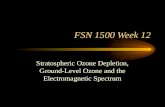 FSN 1500 Week 12 Stratospheric Ozone Depletion, Ground-Level Ozone and the Electromagnetic Spectrum.