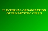 II. INTERNAL ORGANIZATION OF EUKARYOTIC CELLS. Structure of a „typical” animal cell.