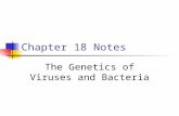 Chapter 18 Notes The Genetics of Viruses and Bacteria.