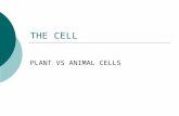 THE CELL PLANT VS ANIMAL CELLS. CELL THEORY  All Living Organisms are composed of one or more cells  Cells are the basic units of structure and function.