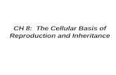 CH 8: The Cellular Basis of Reproduction and Inheritance.
