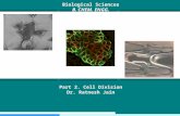 Biological Sciences B. CHEM. ENGG. Part 2. Cell Division Dr. Ratnesh Jain.