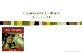 Copyright © Allyn & Bacon 2008 Expressive Culture (Chapter 11)