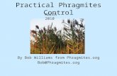 Practical Phragmites Control By Bob Williams from Phragmites.org Bob@Phragmites.org March 2010.