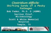 Clostridium difficile: Shifting Sands of a Pesky Pathogen Bob Fader, Ph.D. D (ABMM) Section Chief, Microbiology Scott & White Memorial Hospital Temple,