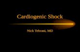 Cardiogenic Shock Nick Tehrani, MD. Definition 15 mmHg.