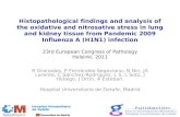 Histopathological findings and analysis of the oxidative and nitrosative stress in lung and kidney tissue from Pandemic 2009 Influenza A (H1N1) infection.