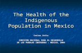 The Health of the Indigenous Population in Mexico Carlos Zolla COMISIÓN NACIONAL PARA EL DESARROLLO DE LOS PUEBLOS INDÍGENAS – MEXICO, 2004.