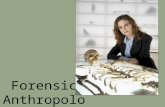 Forensic Anthropology. Definition: An applied area of physical anthropology Role: To assist law enforcement agencies in a medico legal context.