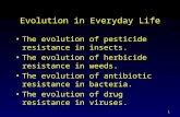 1 Evolution in Everyday Life The evolution of pesticide resistance in insects. The evolution of herbicide resistance in weeds. The evolution of antibiotic.
