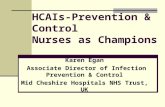 HCAIs-Prevention & Control Nurses as Champions Karen Egan Associate Director of Infection Prevention & Control Mid Cheshire Hospitals NHS Trust, UK.