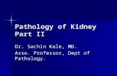 Pathology of Kidney Part II Dr. Sachin Kale, MD. Asso. Professor, Dept of Pathology.