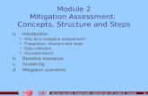 2.1 Module 2 Mitigation Assessment: Concepts, Structure and Steps a.Introduction Why do a mitigation assessment? Preparation, structure and steps Data.