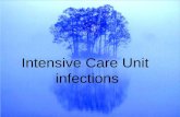 Intensive Care Unit infections. ICU patients Sickest patients (multiple diagnoses, multi-organ failure, immunocompromised, septic and trauma) Move less.