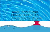 WAVE TYPES AND CHARACTERISTICS Adapted from TEA 10 th grade Science Study Guide.