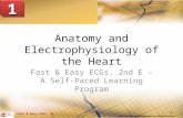 © 2013 The McGraw-Hill Companies, Inc. All rights reserved. Anatomy and Electrophysiology of the Heart Fast & Easy ECGs, 2nd E – A Self- Paced Learning.
