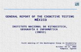 GENERAL REPORT OF THE COGNITIVE TESTING MÉXICO INSTITUTO NACIONAL DE ESTADISTICA, GEOGRAFÍA E INFORMÁTICA (INEGI) Sixth meeting of the Washington Group.