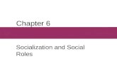 Chapter 6 Socialization and Social Roles. Chapter Outline  Human Development  Cognitive Development  Emotional Development  Culture and Personality.