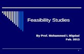 1 Feasibility Studies By Prof. Mohammed I. Migdad Feb. 2013.