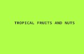 TROPICAL FRUITS AND NUTS. David S. Seigler Department of Plant Biology University of Illinois Urbana, Illinois 61801 USA seigler@life.illinois.edu .