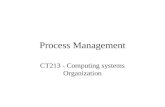 Process Management CT213 - Computing systems Organization.